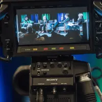 gs11 credit martin lipman 0468 37880540954 o.jpg