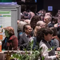 gs11 credit martin lipman 0508 38564974352 o.jpg