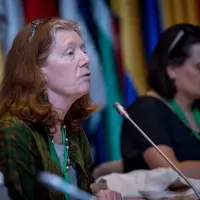 gs12 creditCONICYT-da-1 38128087255 o.jpg