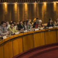 gs12 creditCONICYT 6 38298566574 o.jpg