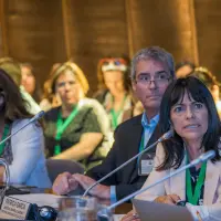 gs12 creditCONICYT 3429 38978828472 o.jpg