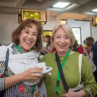 gs12 creditCONICYT 3406 25144100258 o.jpg