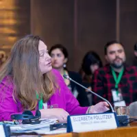 gs12 creditCONICYT 3319 25144110488 o.jpg