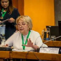 gs12 creditCONICYT-da-2 38984283122 o.jpg