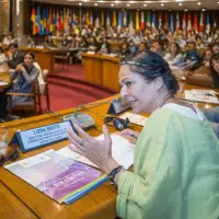 gs12 creditCONICYT 3334 38128115445 o.jpg