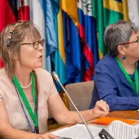 gs12 creditCONICYT-da-2 25150297468 o.jpg