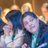 gs12 creditCONICYT 3444 38978827292 o.jpg