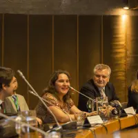 gs12 creditCONICYT-da-2 39022012801 o.jpg