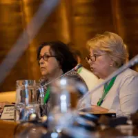 gs12 creditCONICYT-da-2 24156947837 o.jpg