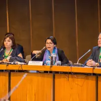 gs12 creditCONICYT-da-2 25150483668 o.jpg