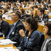 gs2 14609964841 o.jpg