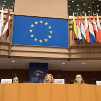 gs9 dsc 3067 30902710786 o.jpg