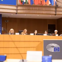 gs9 dsc 2570 25303332009 o.jpg