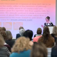 gs9 dsc 3274 30938726885 o.jpg